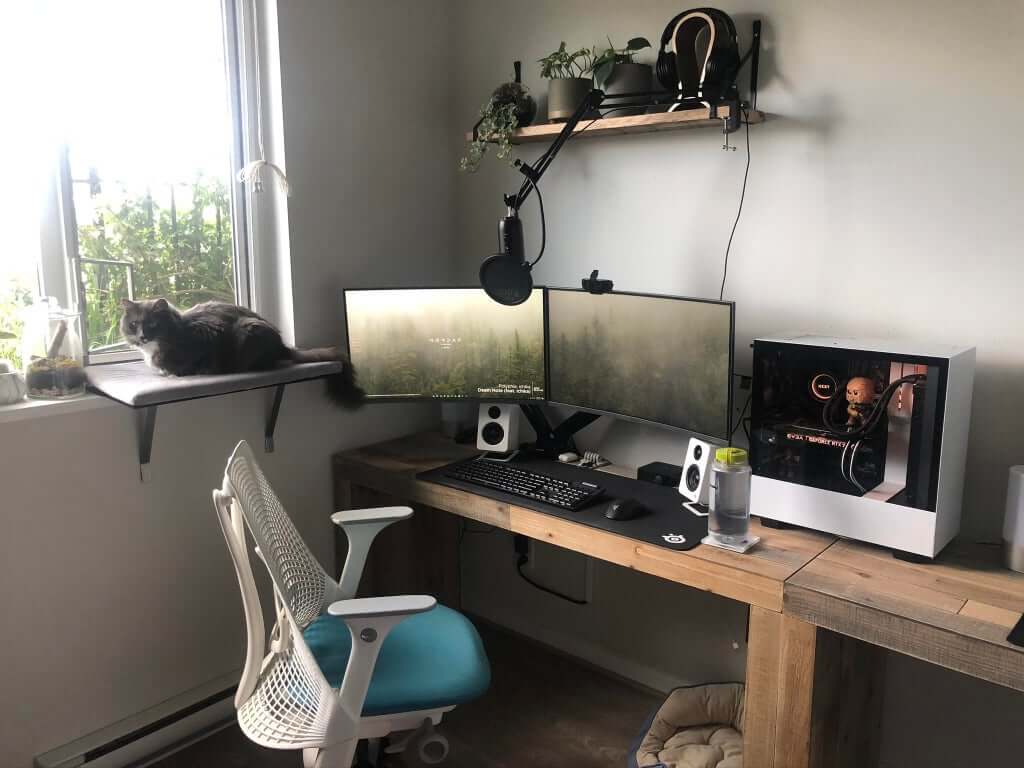 Best Gaming Setup with Plants Nature